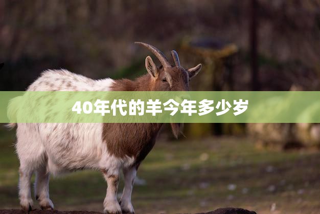 40年代的羊今年多少岁(回顾历史探寻岁月痕迹)