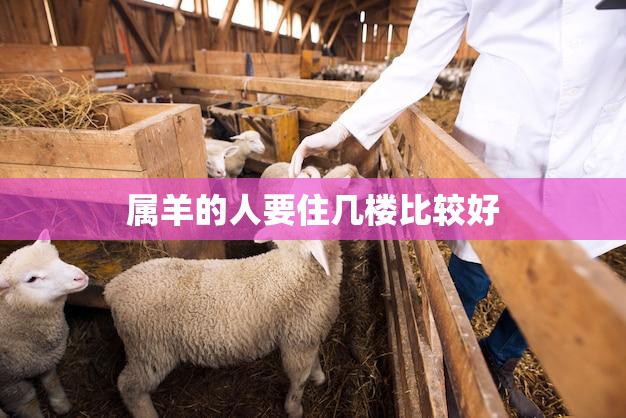 属羊的人要住几楼比较好(如何选择最适合的居住楼层)
