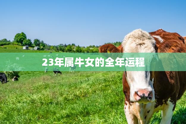 23年属牛女的全年运程(顺风顺水财运亨通)