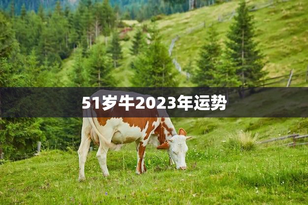 51岁牛2023年运势(牛转乾坤财运亨通)