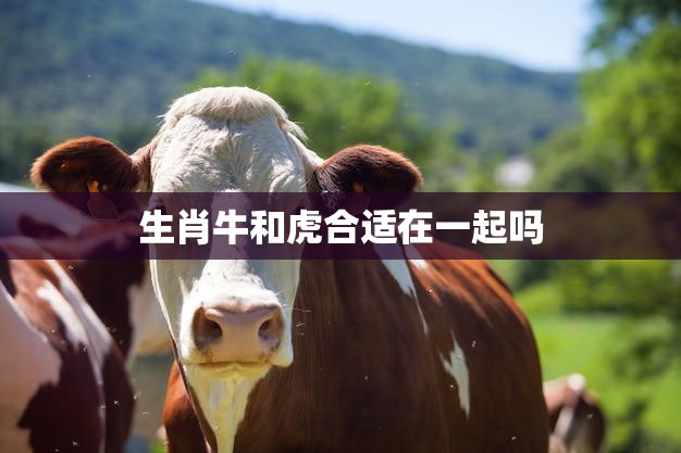 生肖牛和虎合适在一起吗(星座专家解析)