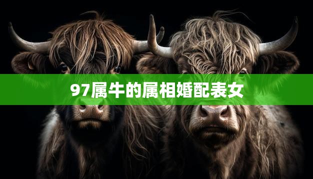 97属牛的属相婚配表女(如何选择最佳配偶)