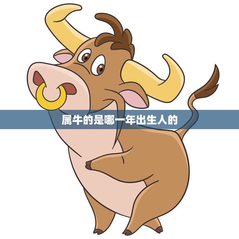 属牛的是哪一年出生人的(十二生肖之牛你是哪一年出生的)