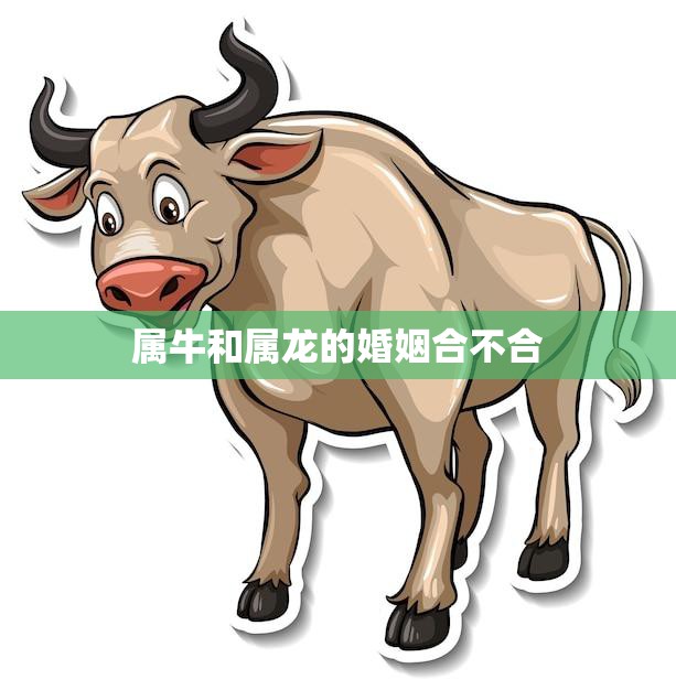 属牛和属龙的婚姻合不合(如何让两个不同的生肖相爱相守)
