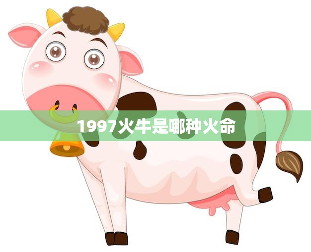 1997火牛是哪种火命(揭秘属牛人的性格特点与命运趋势)
