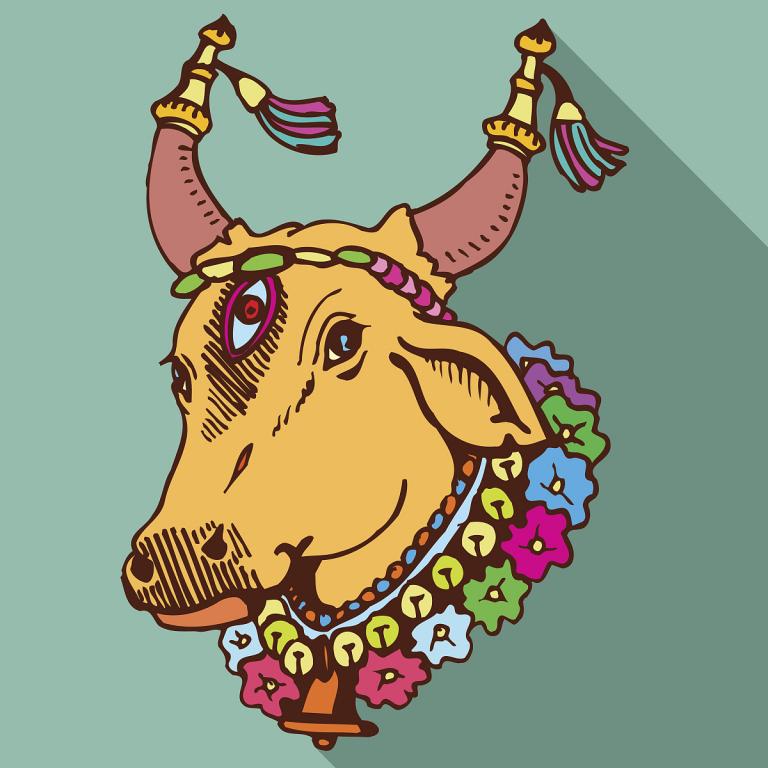 属牛的人今年运势怎么样(2023年运势大揭秘)