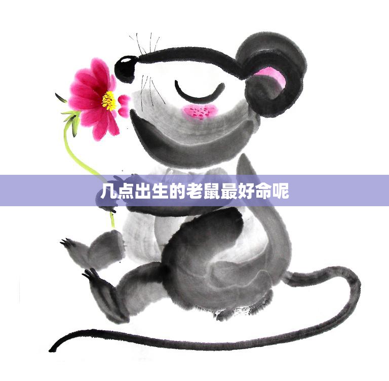 几点出生的老鼠最好命呢(探究老鼠出生时间对命运的影响)