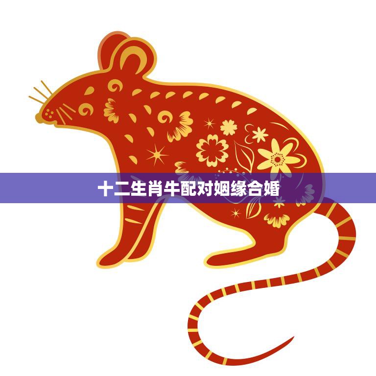 十二生肖牛配对姻缘合婚(牛配鼠、虎、兔、蛇、马、猴、鸡、狗、猪你最适合谁)