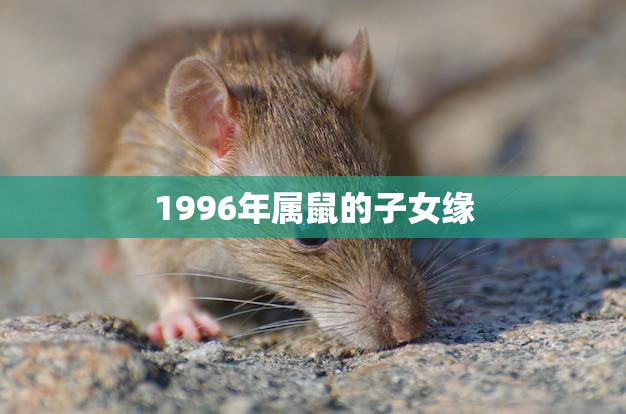 1996年属鼠的子女缘(如何在爱情中幸福)