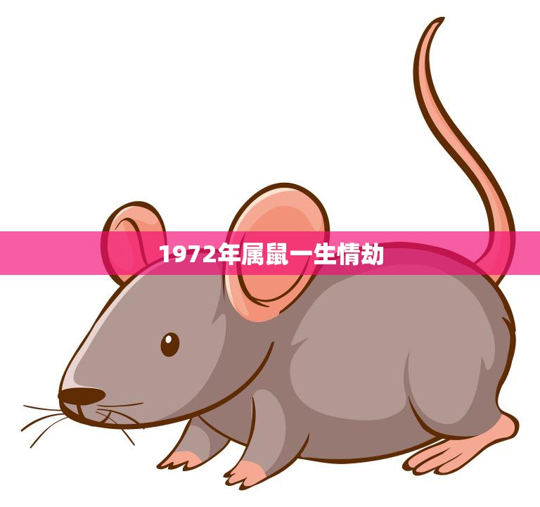 1972年属鼠一生情劫(如何化解命运难题)