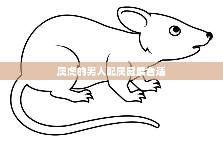 属虎的男人配属鼠最合适(如何找到你的完美伴侣)