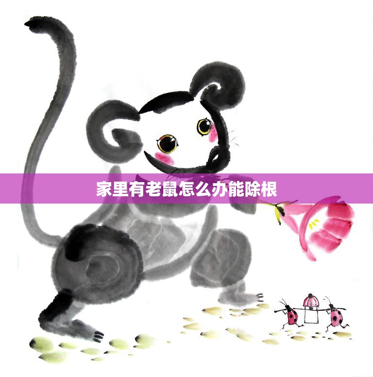 家里有老鼠怎么办能除根(快速有效的老鼠驱除方法)