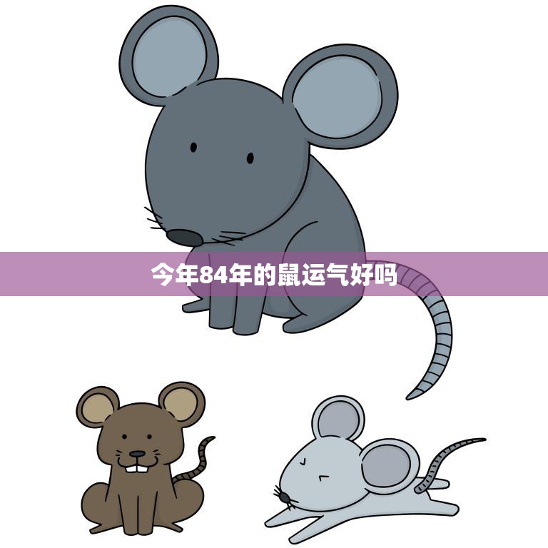 今年84年的鼠运气好吗(解析2023年属鼠的人今年的运势如何)