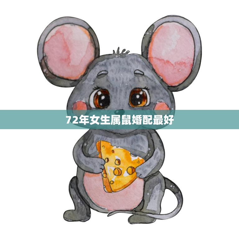 72年女生属鼠婚配最好(如何选择最佳配偶)