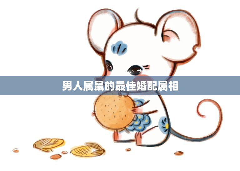 男人属鼠的最佳婚配属相(如何选择)