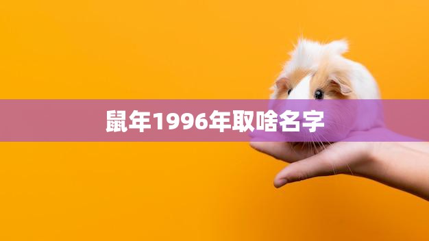 鼠年1996年取啥名字(如何给宝宝取一个吉利的名字)