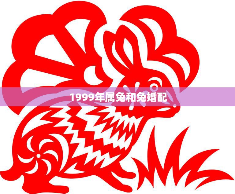 1999年属兔和兔婚配(如何避免婚姻矛盾)
