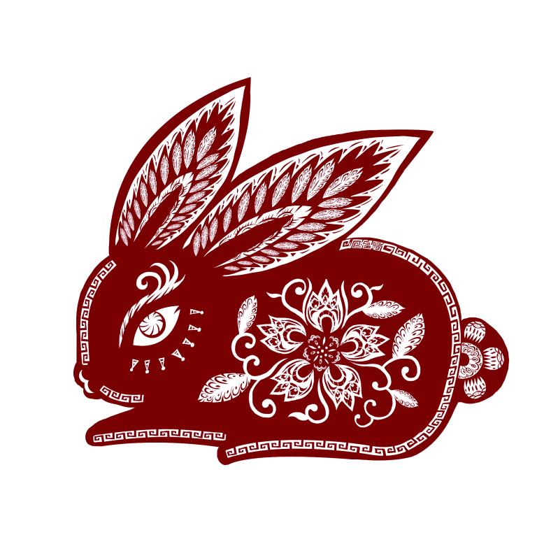 兔子是哪一年今年几岁(如何计算兔子的年龄)