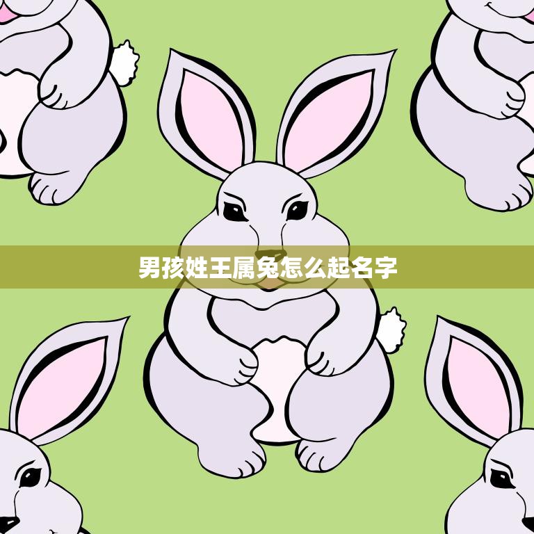 男孩姓王属兔怎么起名字(如何选择适合的名字)