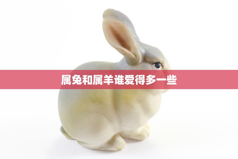 属兔和属羊谁爱得多一些(谁更懂得爱情)