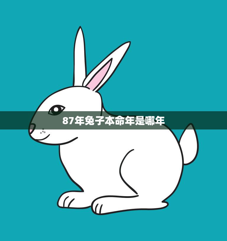 87年兔子本命年是哪年(解析兔子本命年的吉凶寓意)