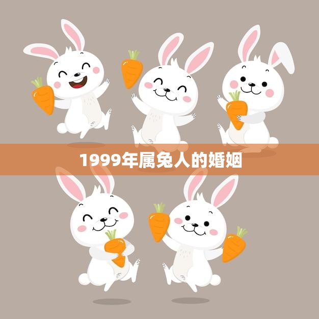 1999年属兔人的婚姻(如何避免婚姻陷阱)