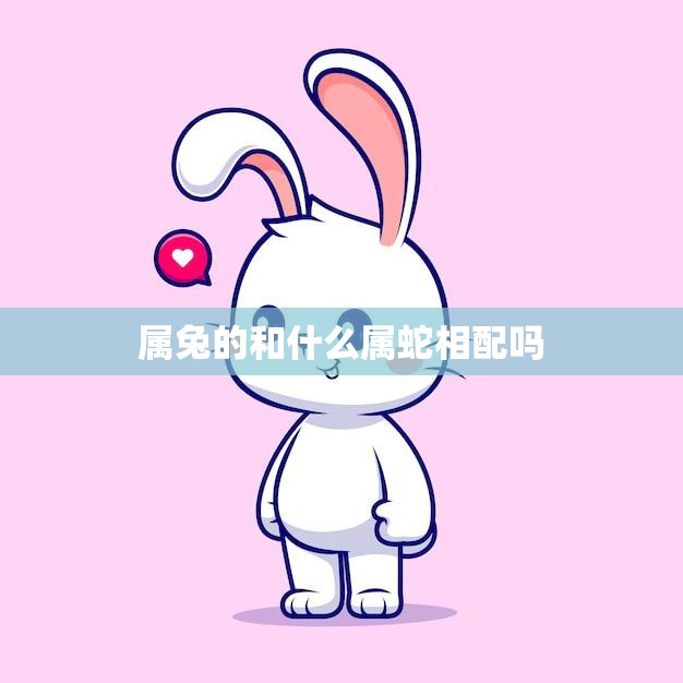 属兔的和什么属蛇相配吗(如何选择最佳配偶)