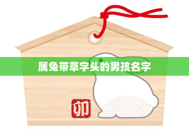属兔带草字头的男孩名字(推荐草泽、草民、草原、草森、草舟)