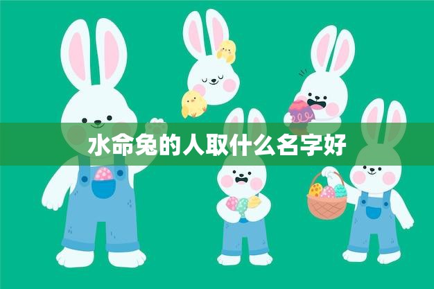 水命兔的人取什么名字好(如何为水命兔的人取一个好名字)