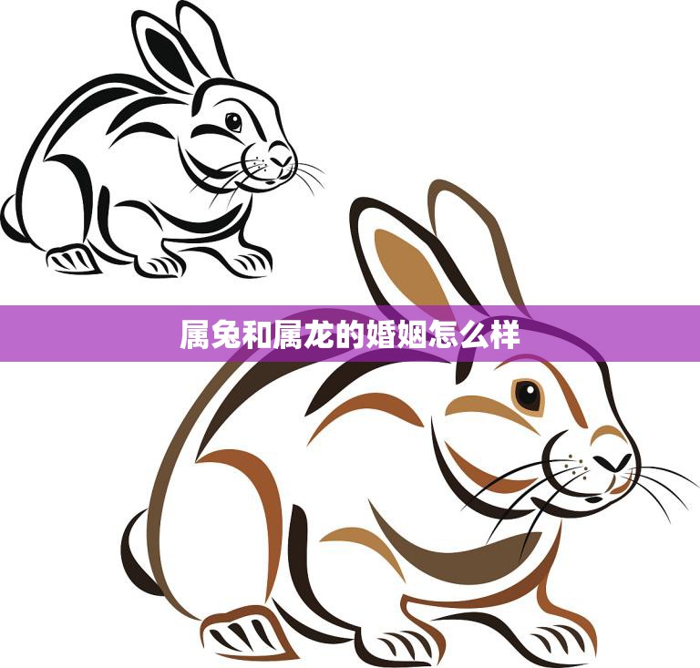 属兔和属龙的婚姻怎么样(幸福还是磨合不易)