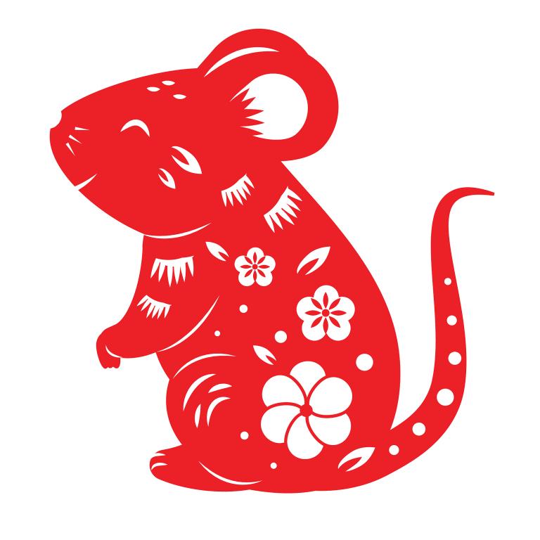 属鼠三合生肖是什么生肖(解析三合局的奥秘)
