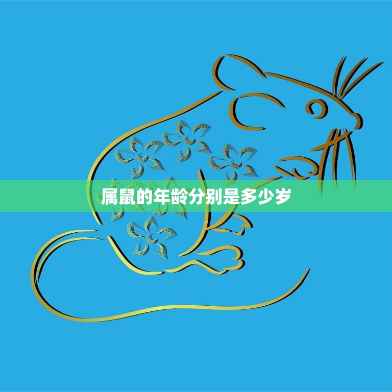 属鼠的年龄分别是多少岁(详解鼠年生肖年龄你知道吗)