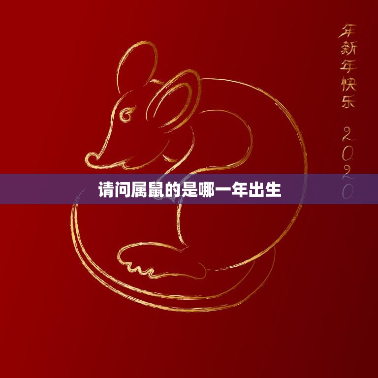 请问属鼠的是哪一年出生(属鼠人的命运解析)
