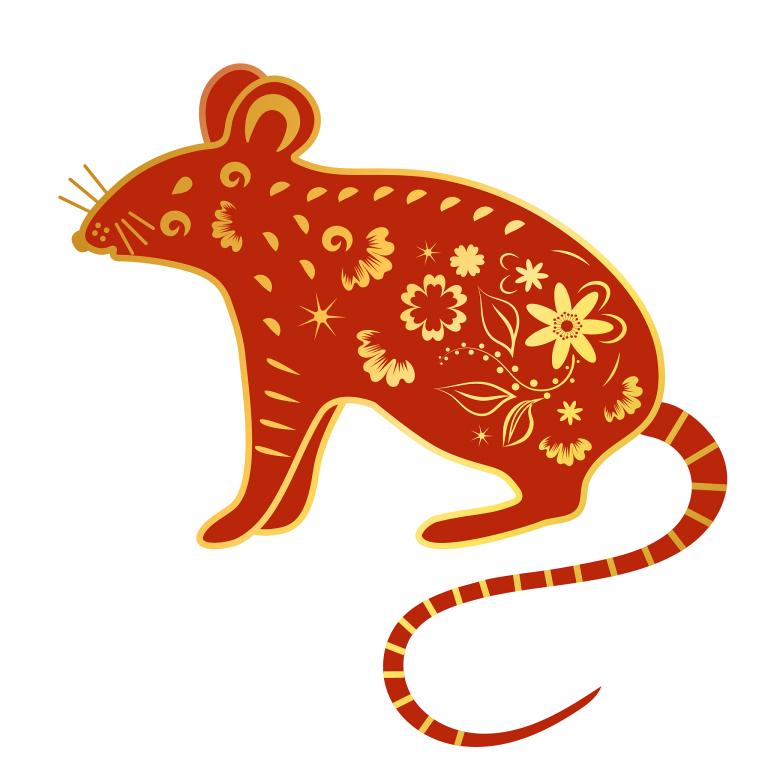 属鼠的和什么属相最搭配(最佳搭档大揭秘)