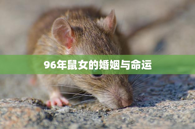 96年鼠女的婚姻与命运(如何影响她的人生轨迹)