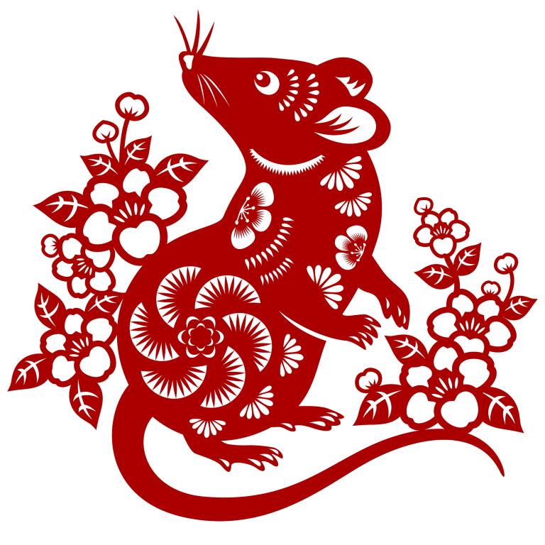 属鼠的是哪一年出生的人(你是不是其中之一)