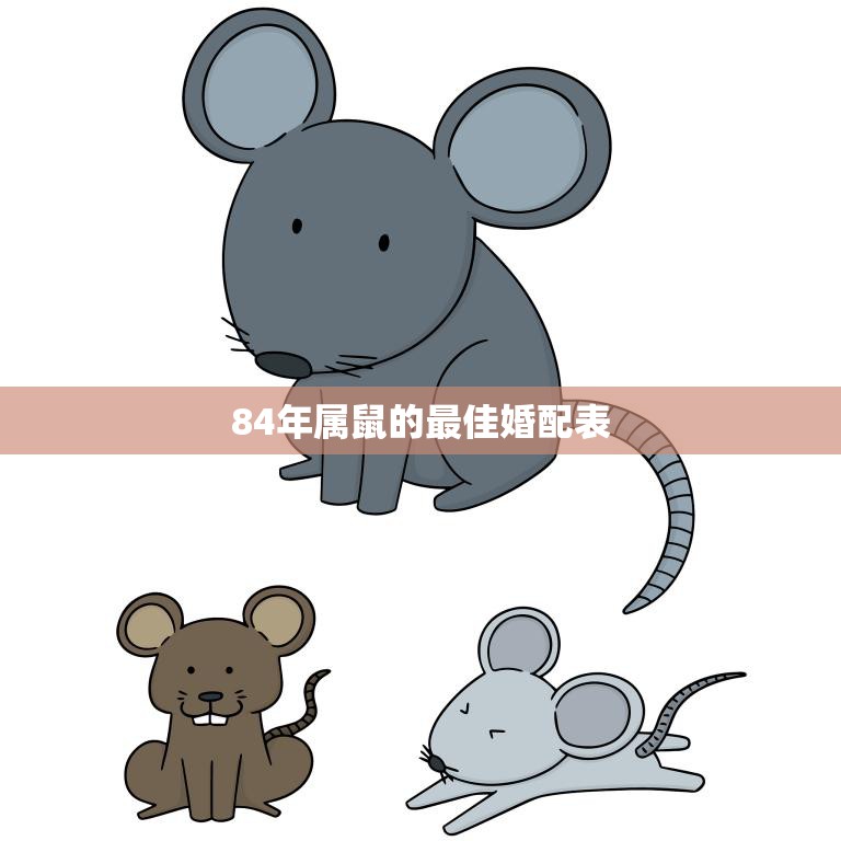 84年属鼠的最佳婚配表(如何选择最佳伴侣)
