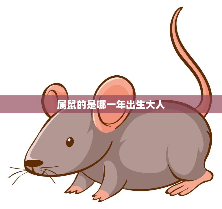 属鼠的是哪一年出生大人(如何在职场脱颖而出)