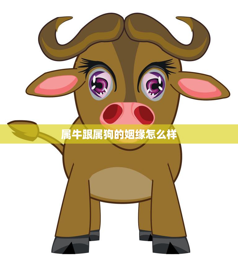属牛跟属狗的姻缘怎么样(解析相爱容易相处难)