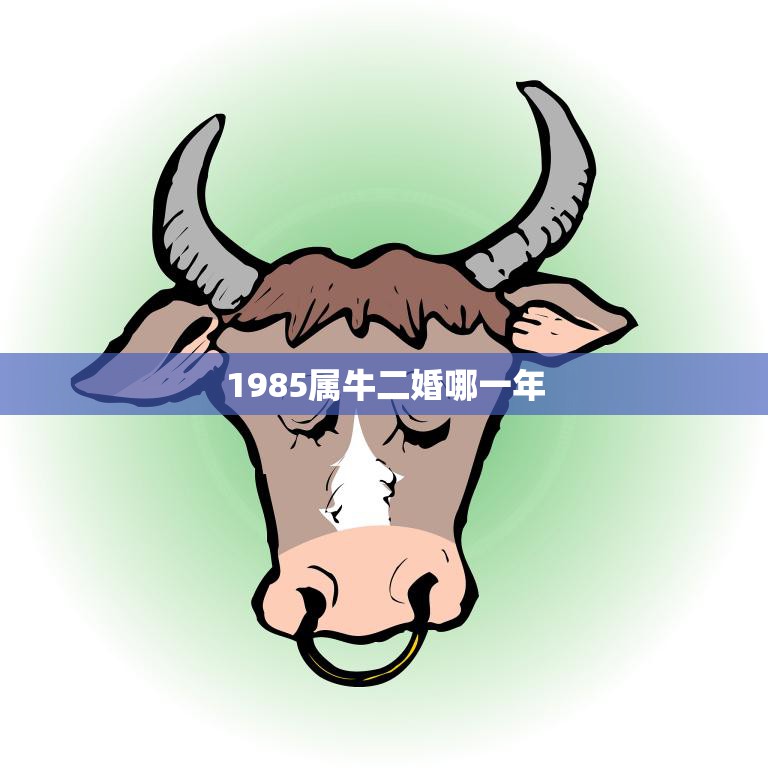 1985属牛二婚哪一年(牛年再婚须知详解适宜结婚的年份)
