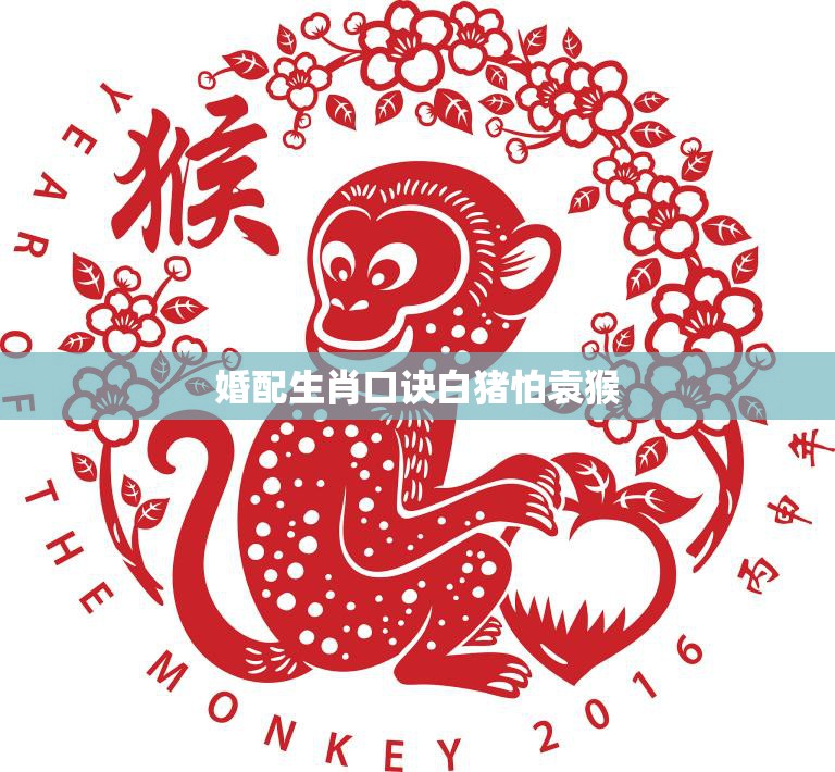 婚配生肖口诀白猪怕袁猴(解密十二生肖婚配大揭秘)