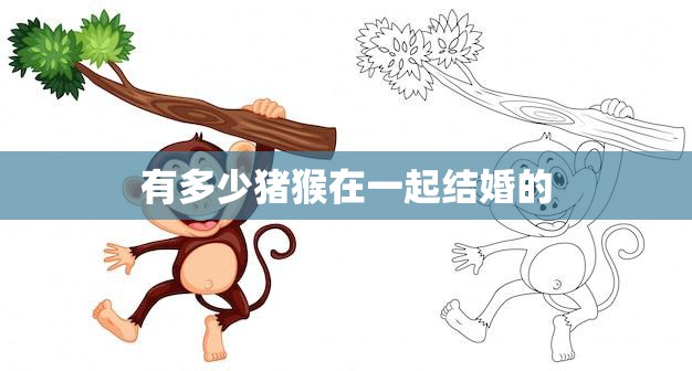 有多少猪猴在一起结婚的(猴山盛大婚礼百只猪猴共同见证爱情)