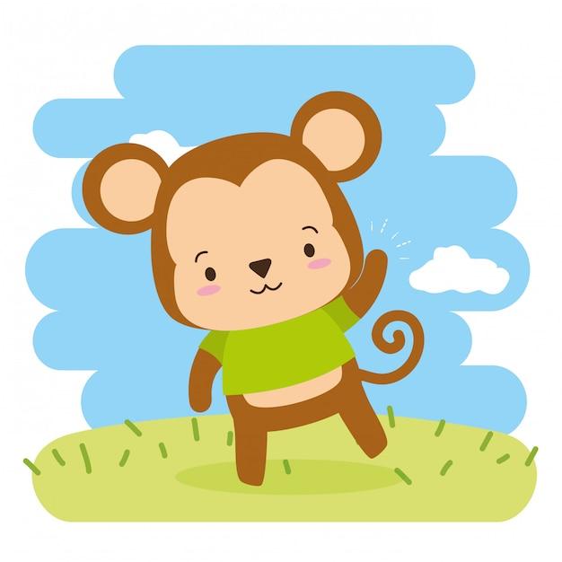 属猴今天财运在什么方向(财富之门今日开启)