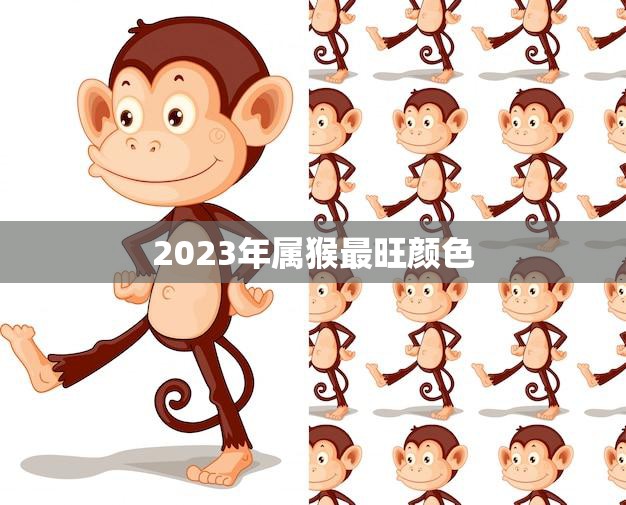 2023年属猴最旺颜色(揭秘猴年红色还是更吉祥)