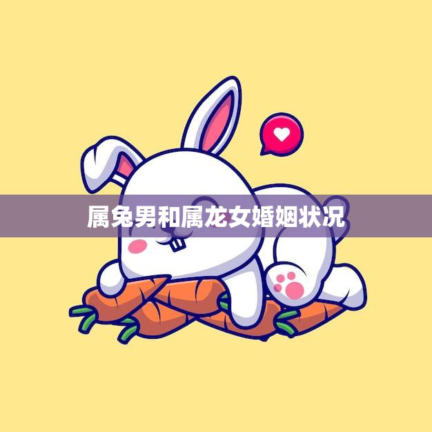 属兔男和属龙女婚姻状况(幸福的秘诀)