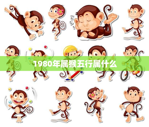 1980年属猴五行属什么(解析猴年出生的五行特征)