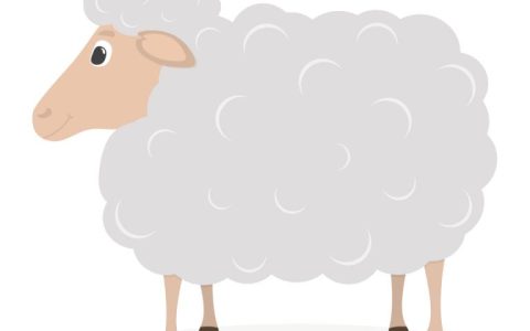 白羊座男生的9大性格特点(热情洋溢勇往直前)