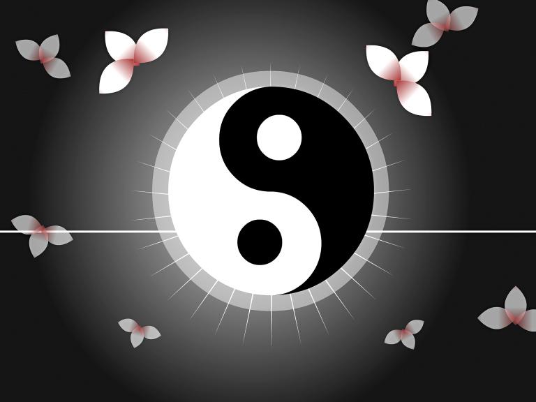 太阳月亮上升星座计算免费(掌握自己的命盘)