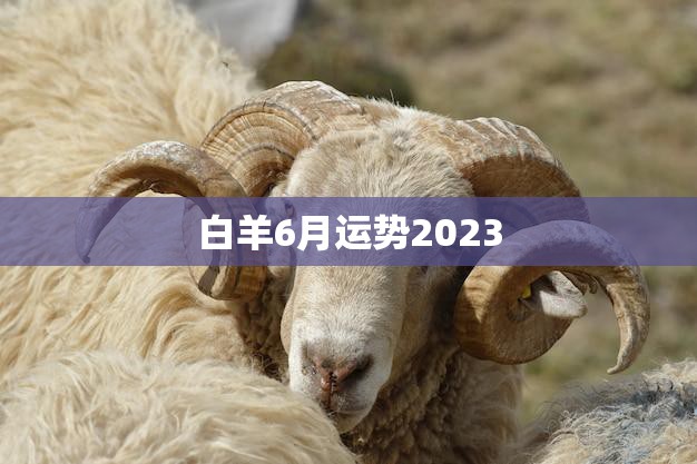 白羊6月运势2023(事业顺利财运亨通)
