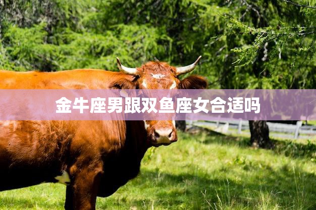 金牛座男跟双鱼座女合适吗(星座配对分析)